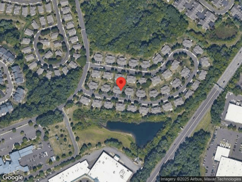 Black Eyed Susan, LANGHORNE, PA 19047