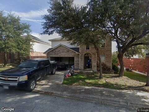 Cotoneaster, SAN ANTONIO, TX 78261