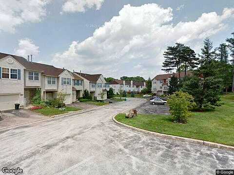 Viburnum, LAFAYETTE HILL, PA 19444