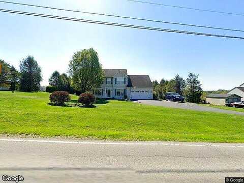 Chestnut Tree, ELVERSON, PA 19520
