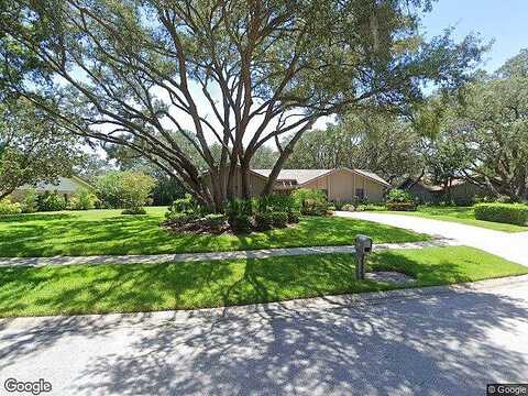 Pheasant, CLEARWATER, FL 33759