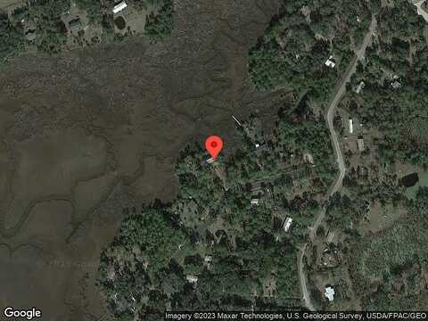 Palm, FERNANDINA BEACH, FL 32034