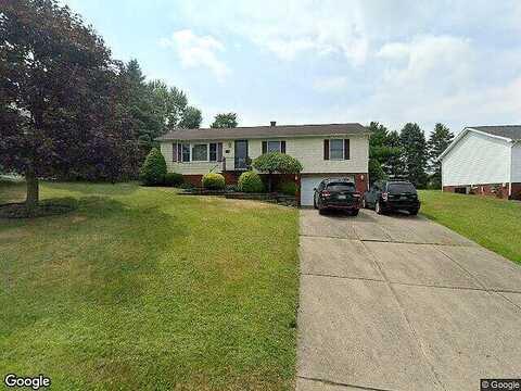 Shannon, NEW BRIGHTON, PA 15066