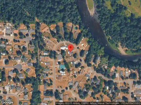 Thuja, YELM, WA 98597