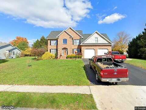 Silver Maple, BOILING SPRINGS, PA 17007