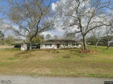 Ash, ALVIN, TX 77511