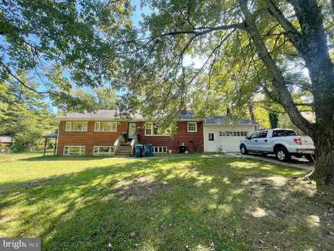 Travis, ANNANDALE, VA 22003
