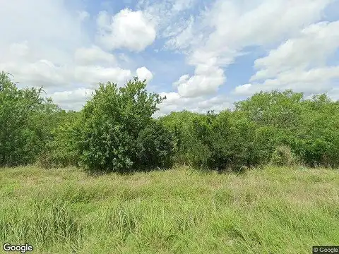 County Road 137, ALICE, TX 78332