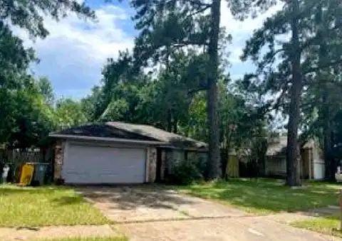 Oaklynn, SPRING, TX 77373