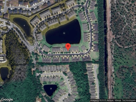 Surfbird, JACKSONVILLE, FL 32256