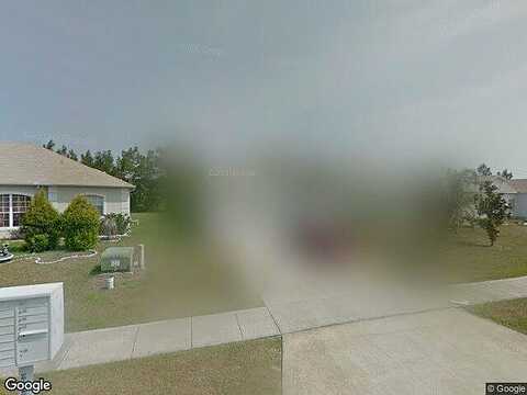 Ficus Tree, KISSIMMEE, FL 34758