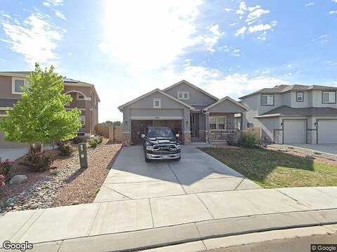 Alpine Daisy, COLORADO SPRINGS, CO 80925
