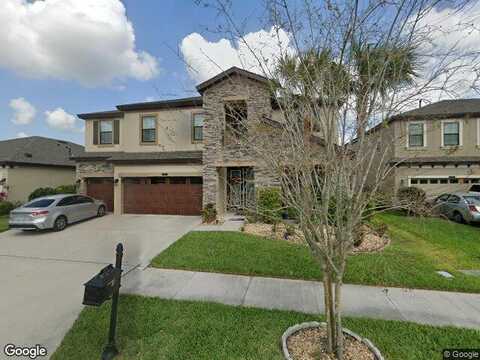 Briske Morning, LAND O LAKES, FL 34637