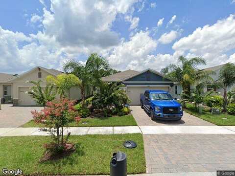 Caryota, NEW SMYRNA BEACH, FL 32168