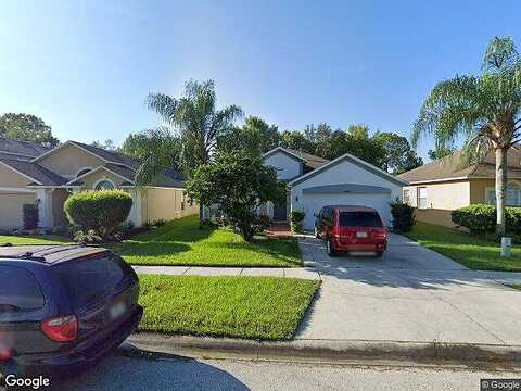 Sparkleberry, TAMPA, FL 33626