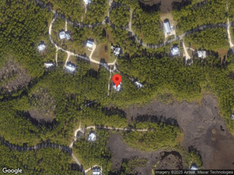 Golden Aster, PANAMA CITY BEACH, FL 32413