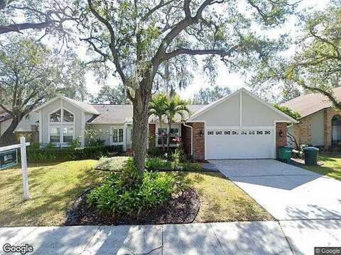 Fayette, SAFETY HARBOR, FL 34695