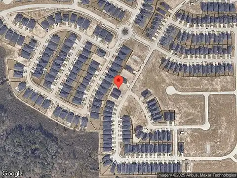 Tree Of Heaven, CONROE, TX 77385