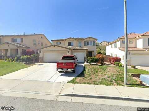 Chicory, PALMDALE, CA 93551