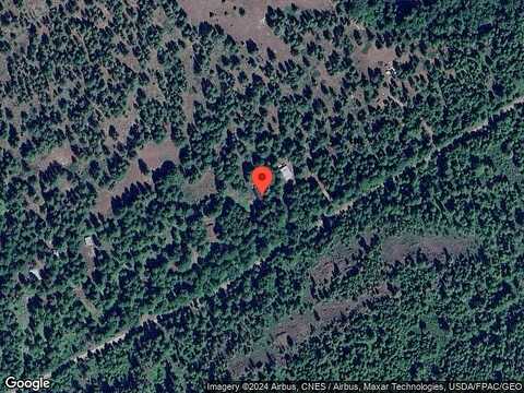 Arnica, TWISP, WA 98856