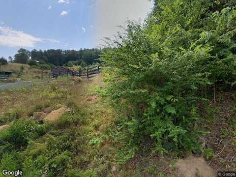 Gooney Manor Loop, BENTONVILLE, VA 22610