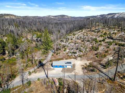 Cedar, BERRY CREEK, CA 95916