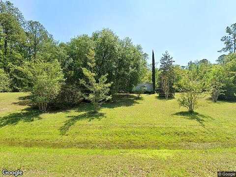 Tarragon, MIDDLEBURG, FL 32068