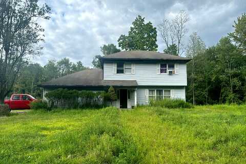 Willow Tree, MONSEY, NY 10952