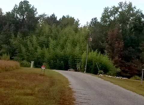 Grant 291015, PRATTSVILLE, AR 72129