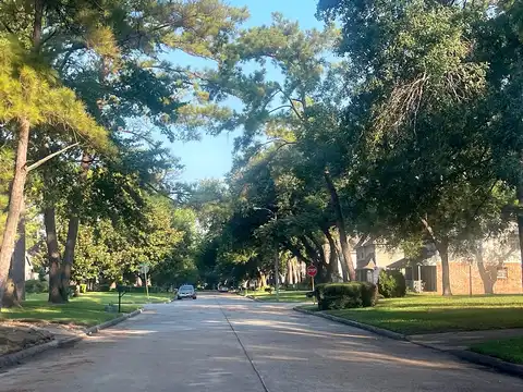 Fawnview, HOUSTON, TX 77070
