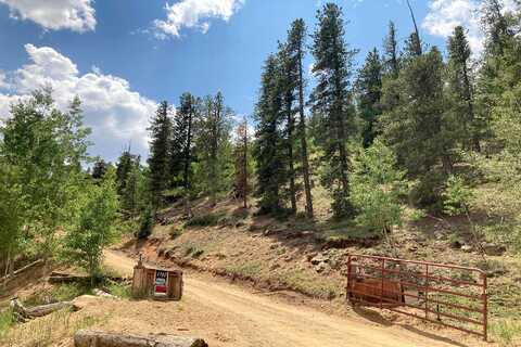 Clark, BAILEY, CO 80421