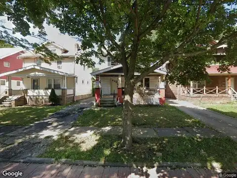 Linnet, CLEVELAND, OH 44111