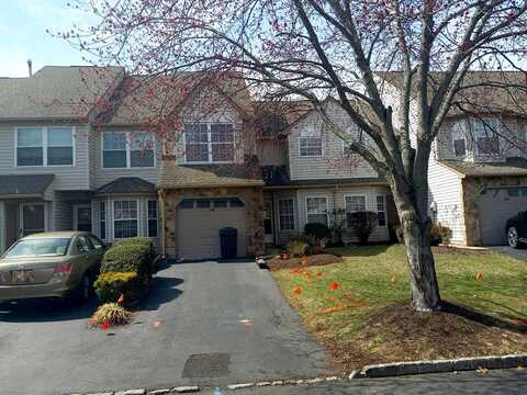 Nebula, PISCATAWAY, NJ 08854