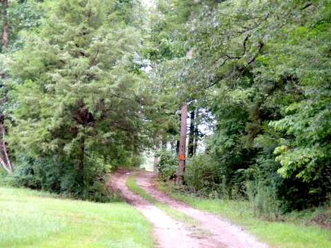 Kings, ADAMSVILLE, AL 35005
