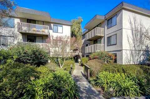 Shelter Creek, SAN BRUNO, CA 94066