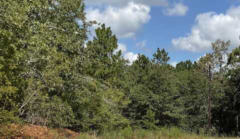 Tbd Croft Mill Road, Aiken, SC 29801