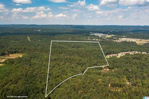 4430 SICARD HOLLOW ROAD, BIRMINGHAM, AL 35242