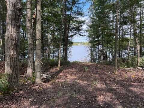 15798 Lakeview Drive, Wolverine, MI 49799