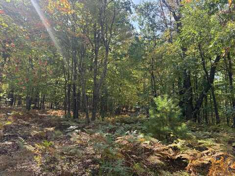 Parcel 1C Deklan Drive, Mio, MI 48647