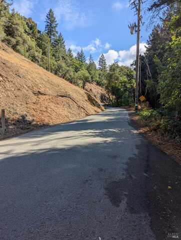 59002 George Washington Rock Road, Leggett, CA 95585