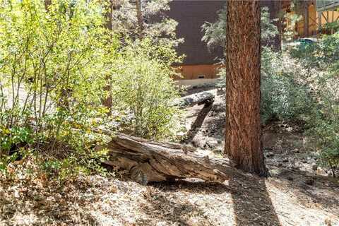 0 Kern Avenue, Sugarloaf, CA 92386