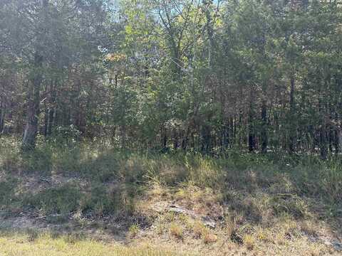 11360 HWY 125, Peel, AR 72668