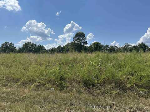 11550 HWY 125, Peel, AR 72668