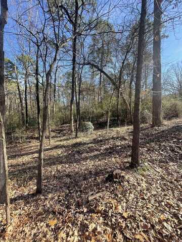 000 Scarlet Maple Court, Little Rock, AR 72223