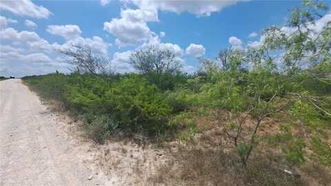 Tr 18 La Nina Road, San Diego, TX 78384