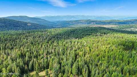 195 Hidden Forest Way, Sandpoint, ID 83864