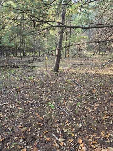 523 Twentieth, Gladwin, MI 48624