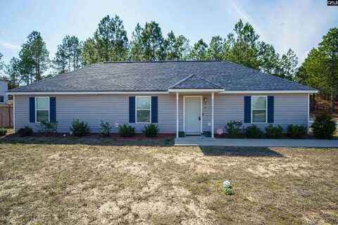 676 Old Orangeburg, Lexington, SC 29073