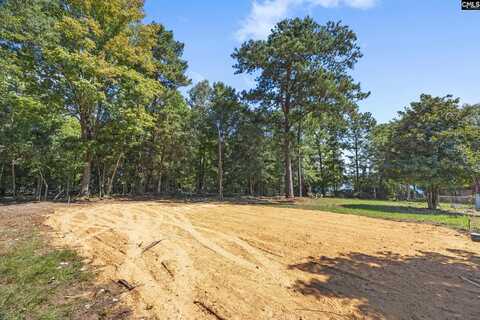 758 Caughman Point, Leesville, SC 29070