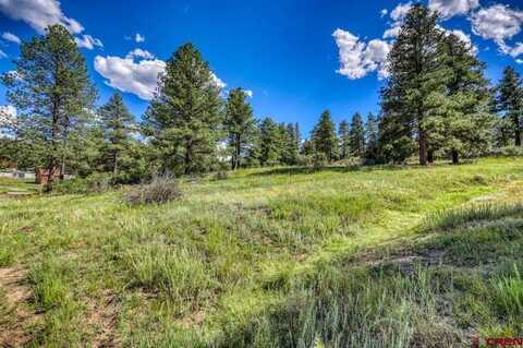 132 Hurt Lane, Pagosa Springs, CO 81147